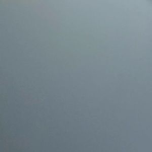 Meet your Posher, Kira